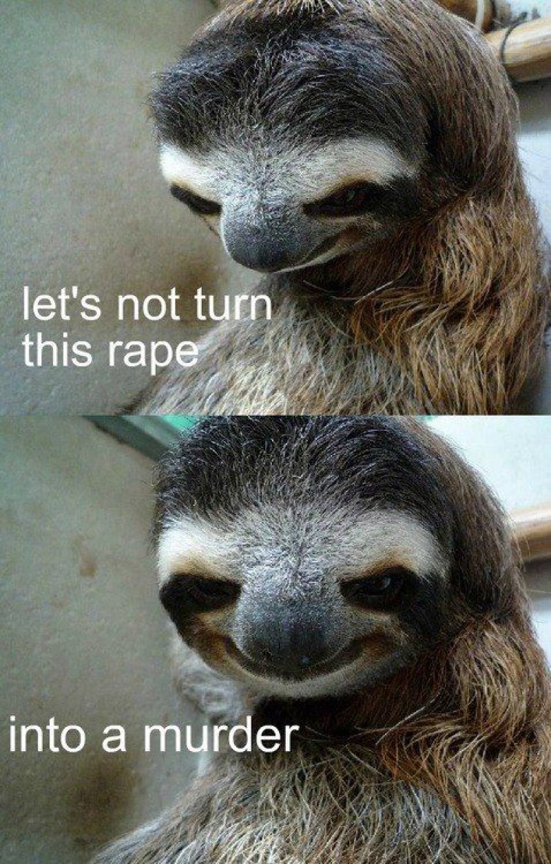 This Evil Sloth!-12 Funny Rape Sloth Memes That Will Make You Lol.