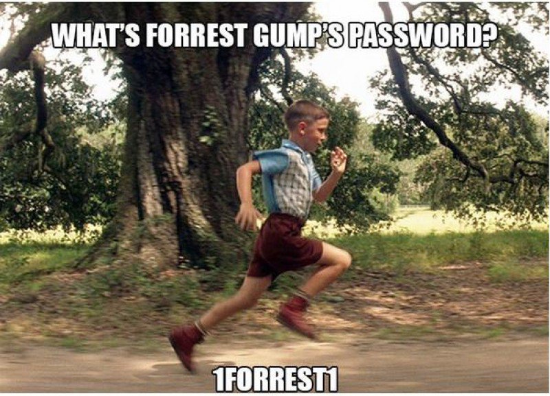 This Forrest Gump Joke-15 Terrible Jokes That Are Actually Funny