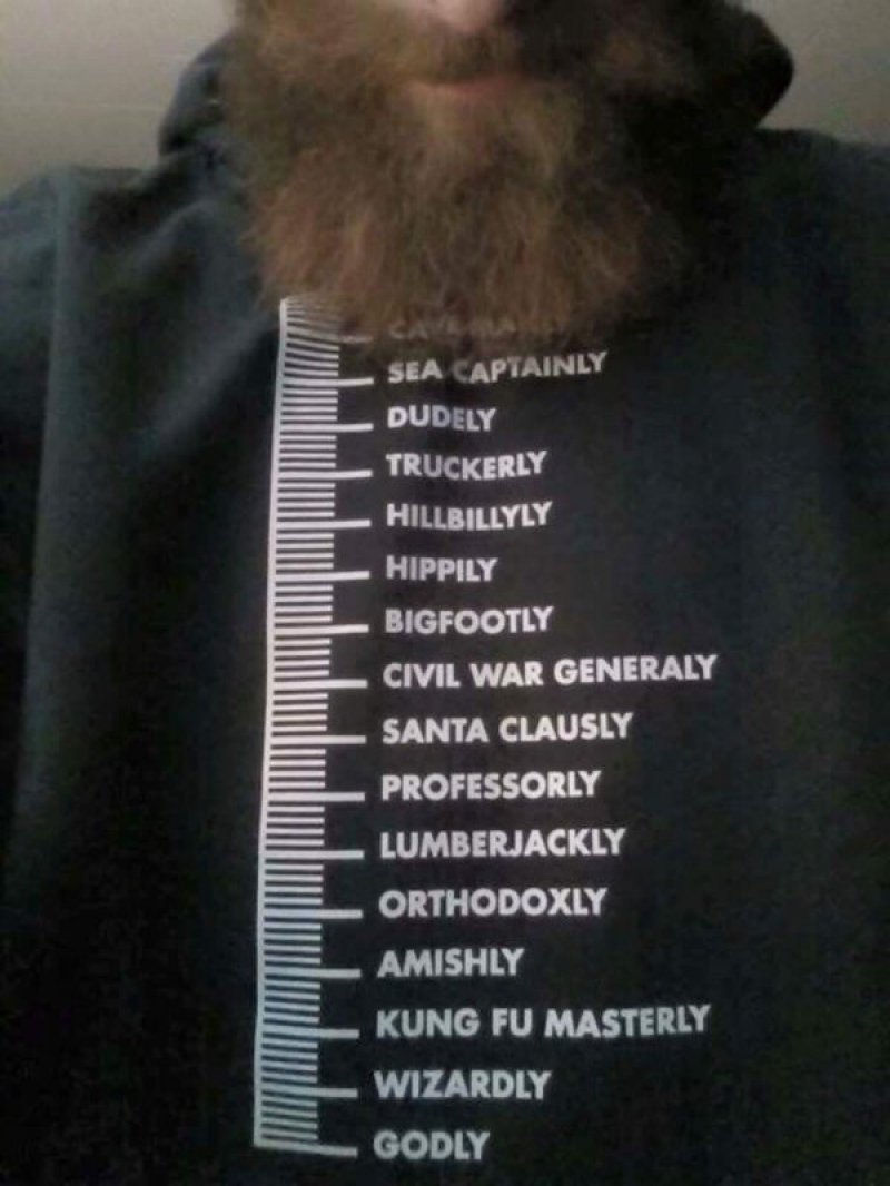 This Funny Beard Scale-12 Funny Beard Memes That Will Make You Lol