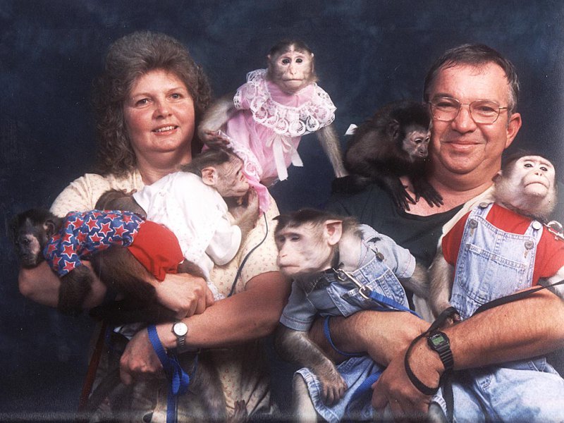 This Bizarre Monkey Family