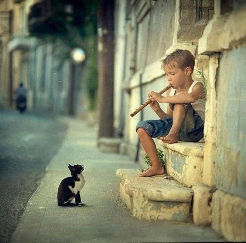 This Little Boy Playing Flute To A Cat-13 Awesome Pictures That Will Make Your Day