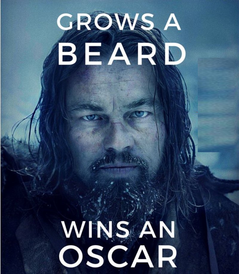 This Makes Sense!-12 Funny Beard Memes That Will Make You Lol