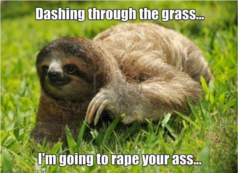 This Meme Will Make You Lol-12 Funny Rape Sloth Memes That Will Make You Lol