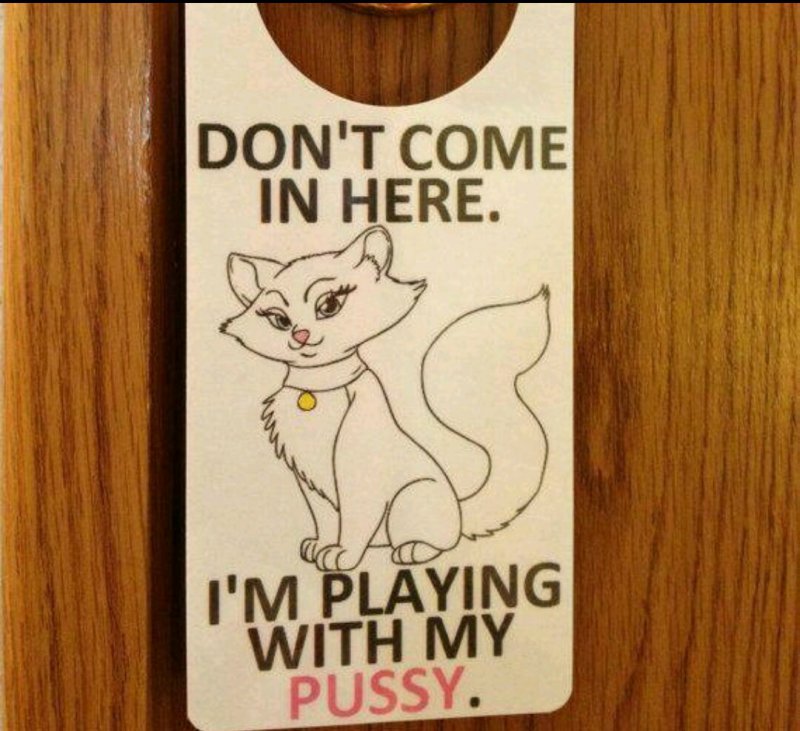 This Naughty Do Not Disturb Sign-12 Funniest Do Not Disturb Signs That Will Make You Lol