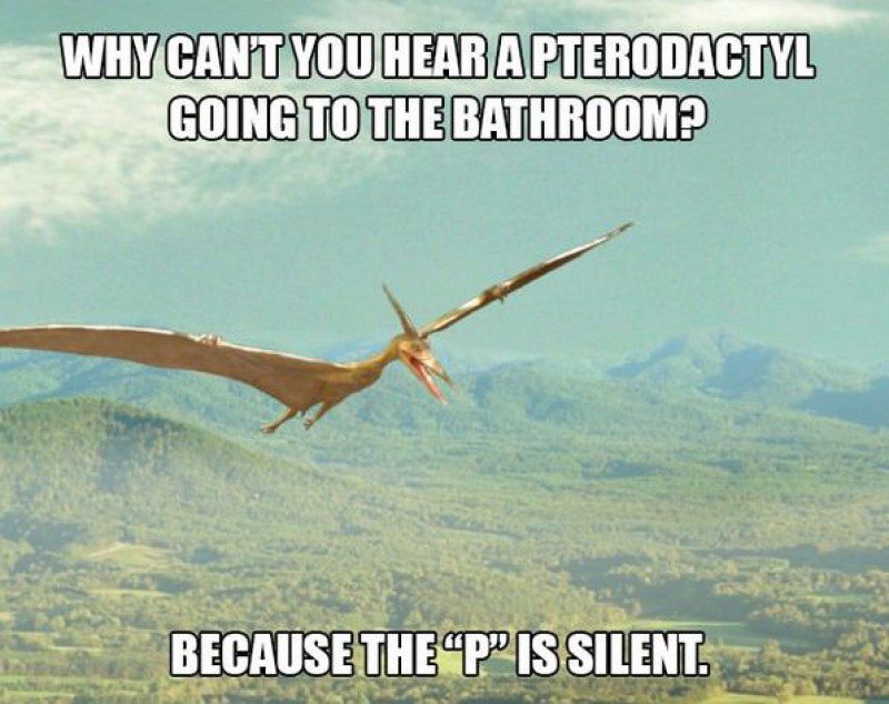 This Pterodactyl Joke-15 Terrible Jokes That Are Actually Funny