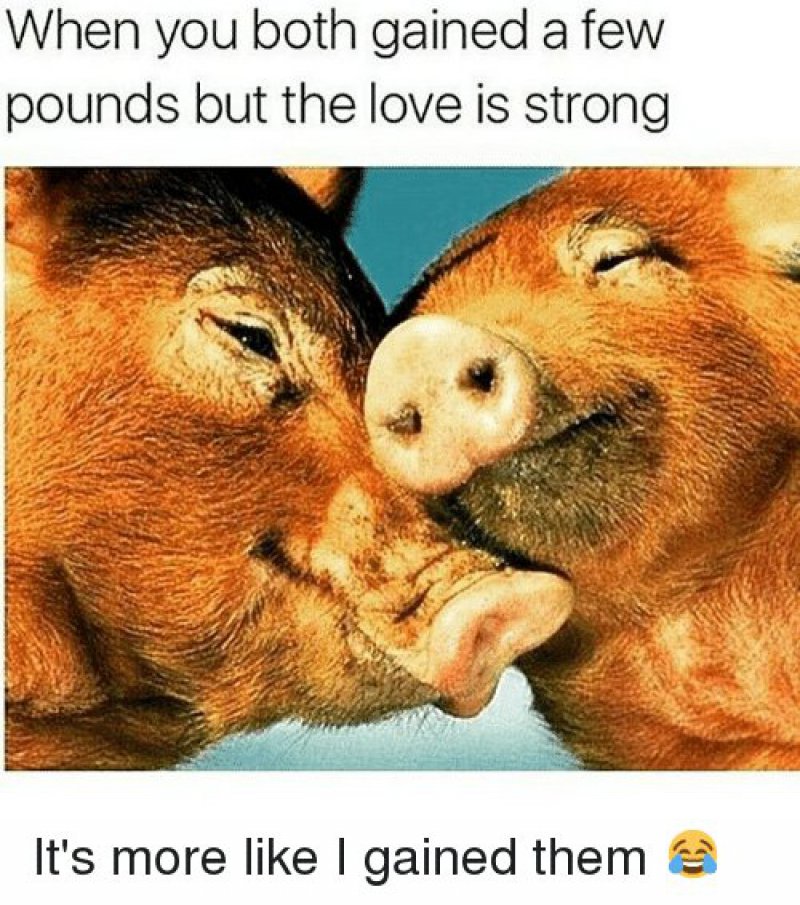 True Love!-12 Beautiful Yet Hilarious Love Memes