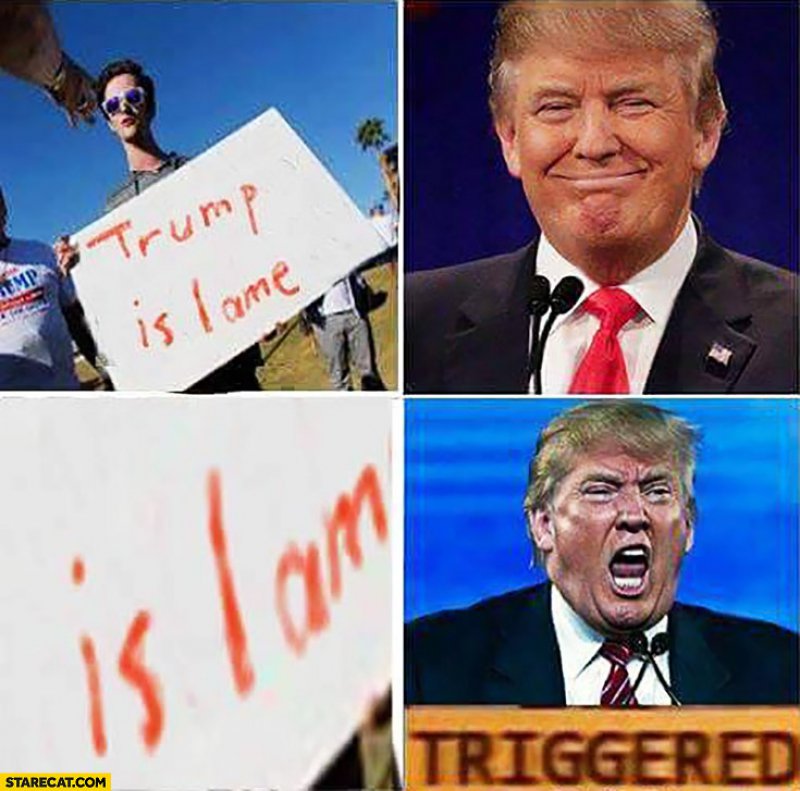 Trump Triggered!-12 Hilarious Triggered Memes That Are Sure To Make Someone Triggered