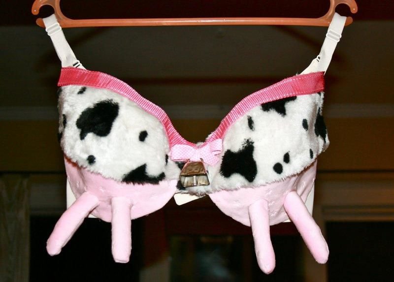 Udderly Magnificent-12 Most Ridiculous Bras Ever Made
