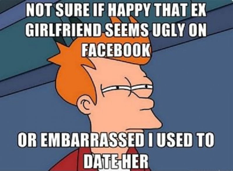 Ugly Ex-Girlfriend On Facebook Meme-15 Funniest "Not Sure If" Futurama Fry Memes