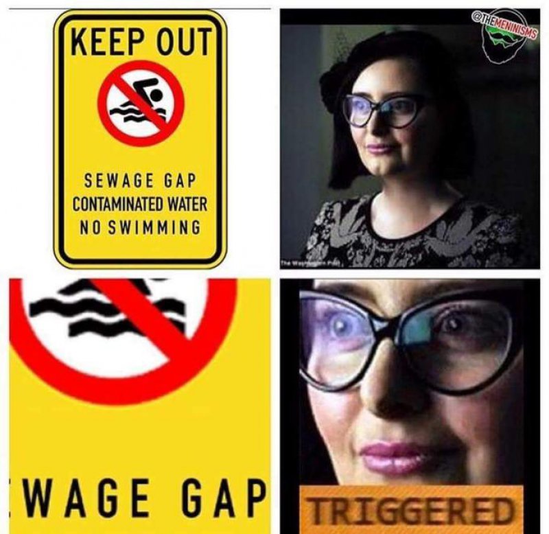 Wage Gap: Triggered! -12 Hilarious Triggered Memes That Are Sure To Make Someone Triggered