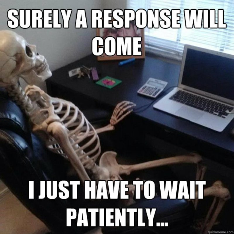 Waiting For A Response!-12 Funny Waiting Skeleton Memes