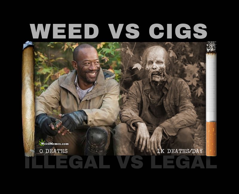 Weed Vs. Cigarettes-12 Funny Weed Memes That Are Sure To Get Your Sense Of Humor High