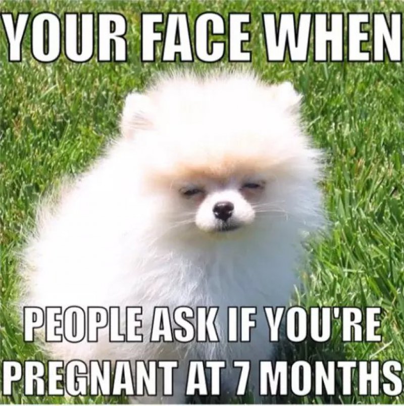 When People Ask If You Are Pregnant At 7 Months!-12 Hilarious Pregnancy Memes That Will Make Your Day