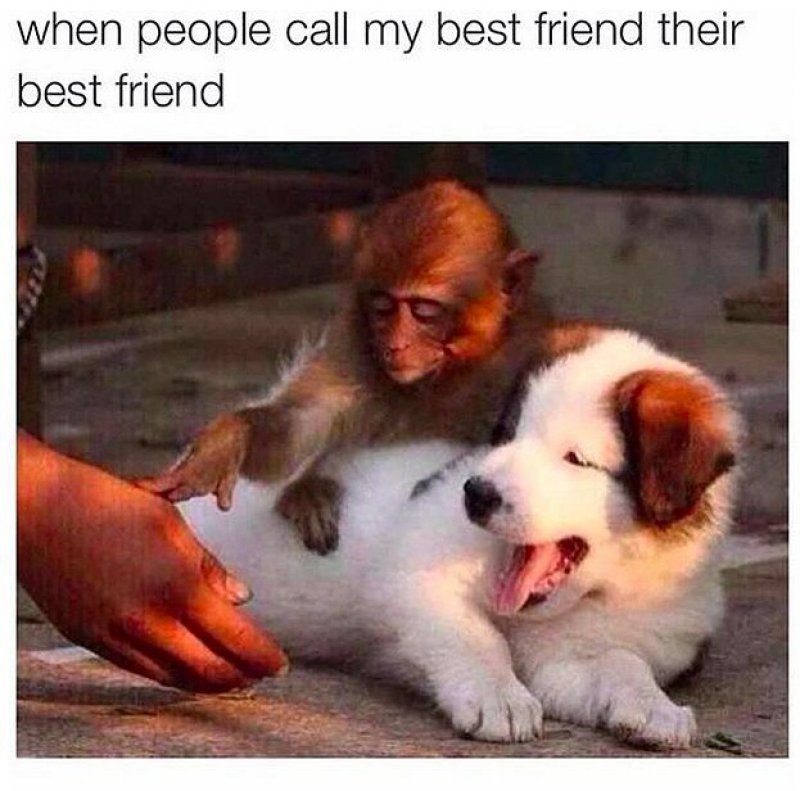 12 Best Friend Memes That Will Make You Say So Us 