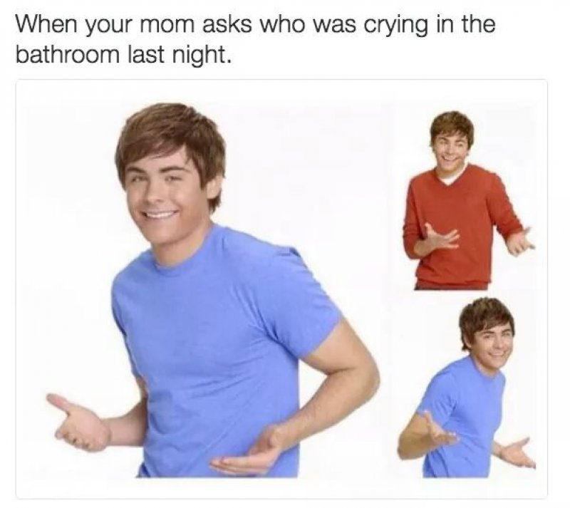 When Your Mom Asks Who Was Crying In The Bathroom Last Night -12 Depression Memes That Are Actually Funny