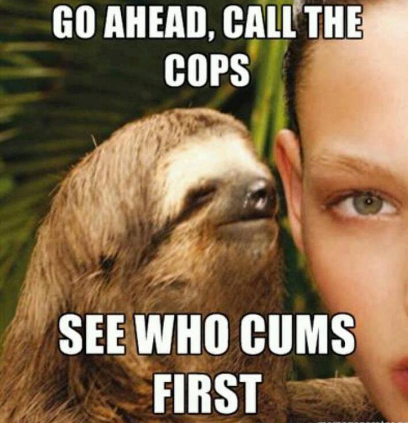 Who Comes First!-12 Funny Rape Sloth Memes That Will Make You Lol