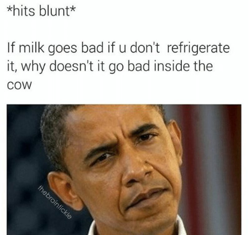 Why Doesn't Milk Go Bad Inside Cow?-12 Funny Hits Blunt Memes That Will Send You In The Thinking Mode