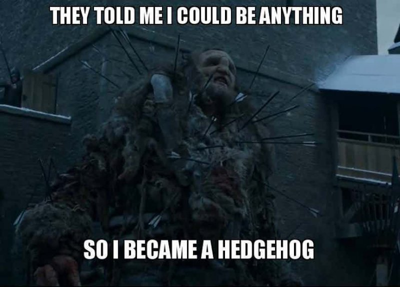 Wun Weg Wun Dar Wun!-12 Funny Game Of Thrones Memes That Are On Point