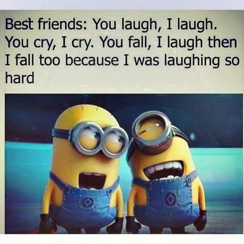 You Fall - I Laugh! -12 Best Friend Memes That Will Make You Say So Us