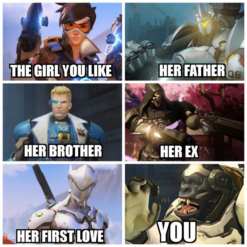 You Vs. Your Girl And Her Relatives!-12 Hilarious Overwatch Memes That Are Sure To Make You Lol