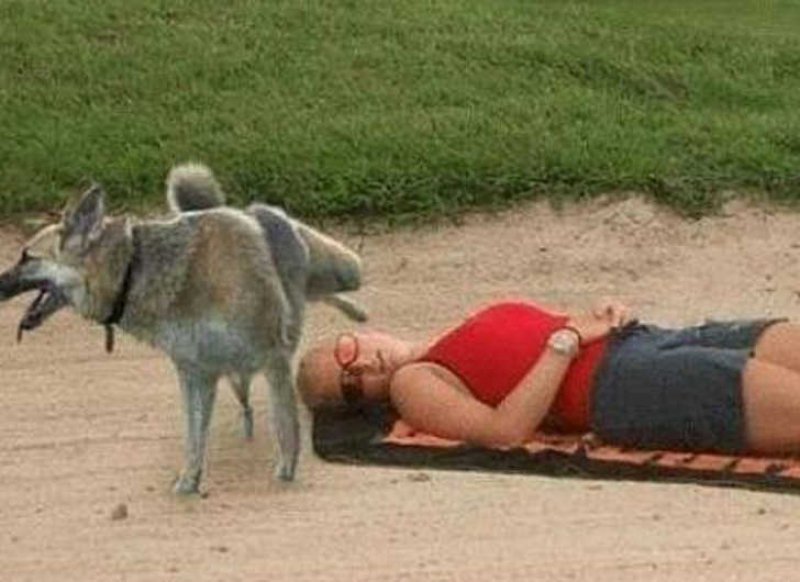 This Funny Dog-15 Most Embarrassing Photos Ever Taken At Beach