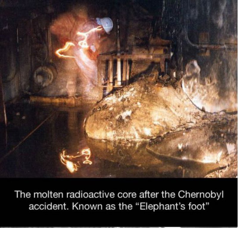 List 94+ Pictures who took the picture of the elephant’s foot Updated