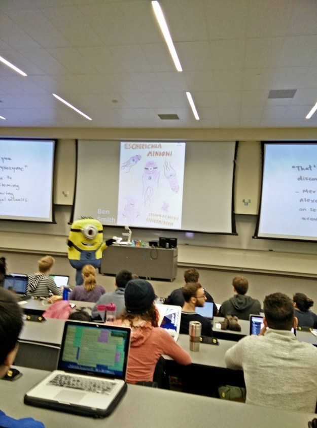 This Professor in a Minion Costume-15 Awesome Professors That Everyone Wishes To Have