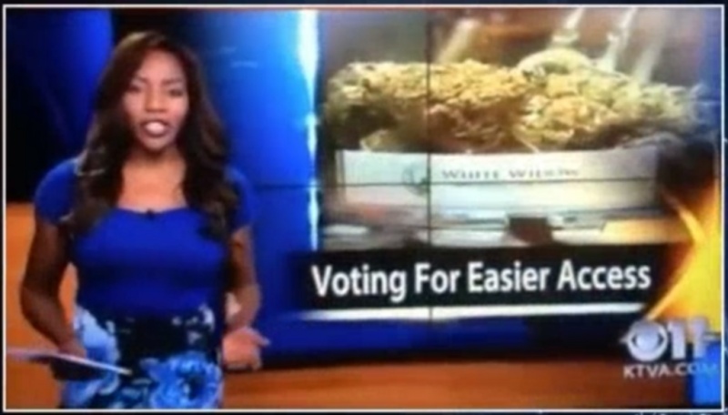 Reporter Announcing Quit on Live TV-15 People Who Quit Their Job In Style