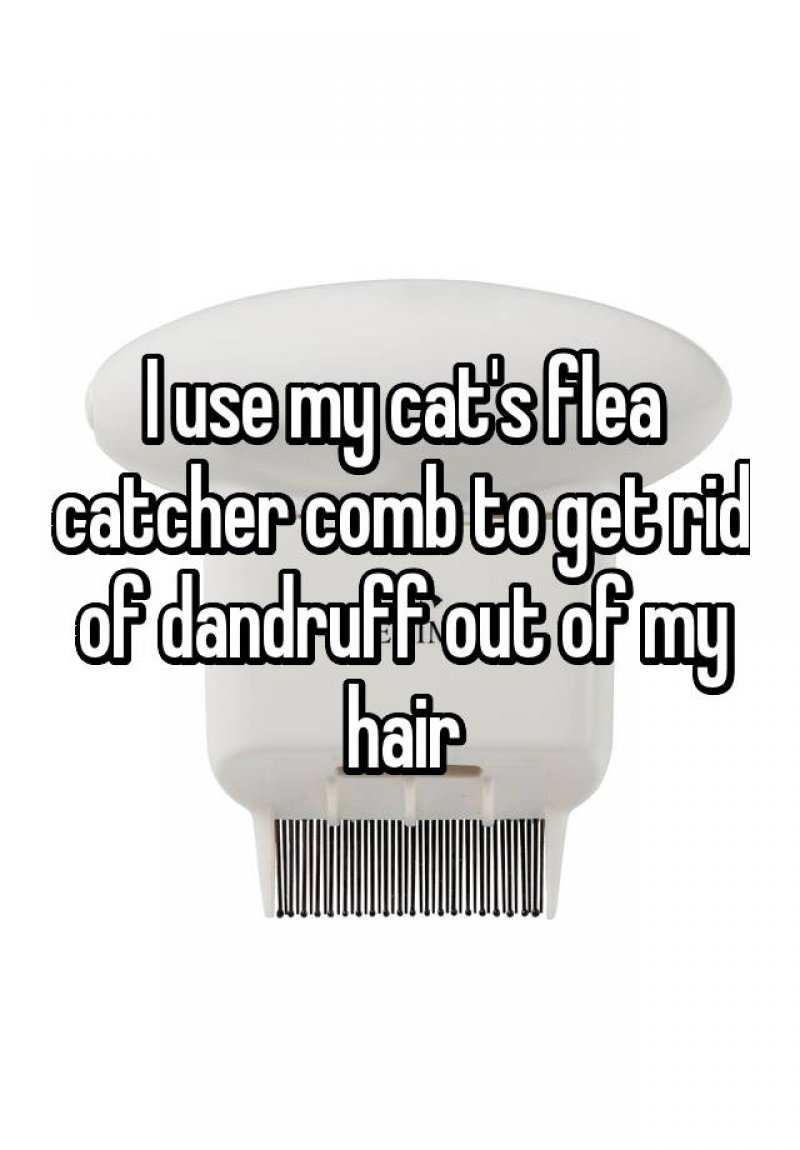 Use Pet's Flea Catcher Comb to Get Rid of Dandruff-15 Ridiculous Life Hacks For All The Lazy People Out There