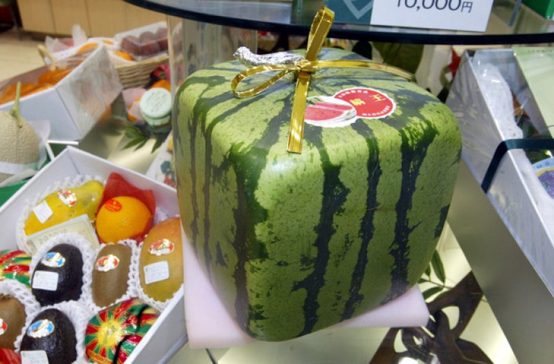 Japanese Square Watermelons-15 Weird Things That Can Happen Only In Japan