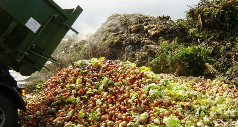 Food Wastage and poverty-15 Images That Prove Life's Not Fair With Everyone