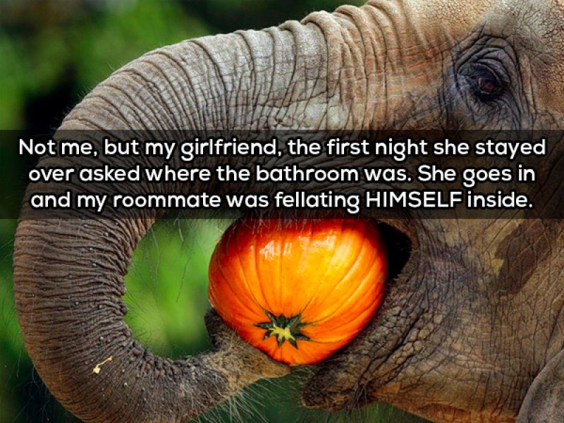 The Weirdest Thing We Hope We Never See-15 People Confess The Craziest Things They Saw Their Roommate Doing