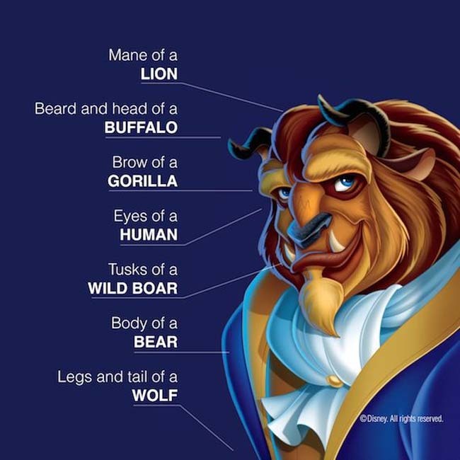 Beast is the Combination of Many Animals-15 Disney Movie Secrets You Don’t Know