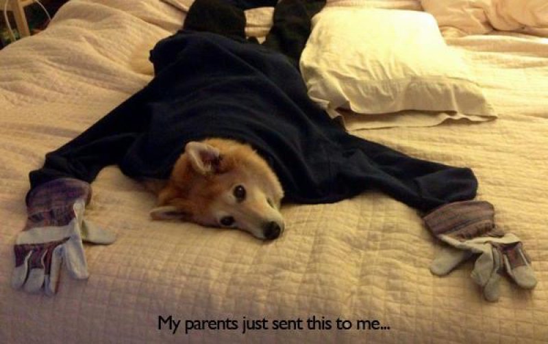 Creative and Funny Parents-15 Times Parents Showed Their Inner Child