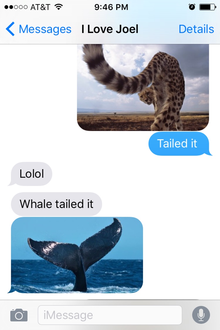 Tailed it-15 Hilarious Images Of A Couple's Pun Texting