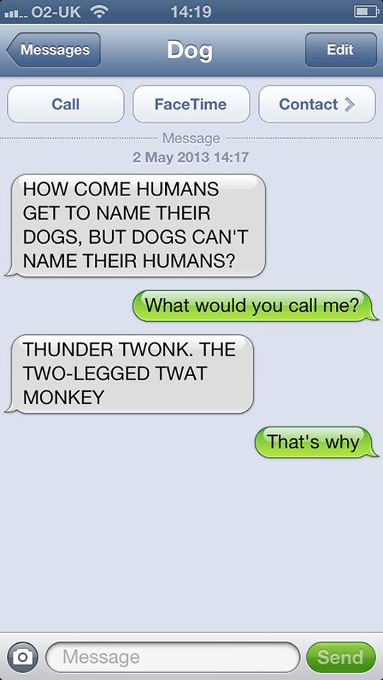 Thunder Twonk, the Two Legged Twat Monkey -15 Hilarious Dog Texts