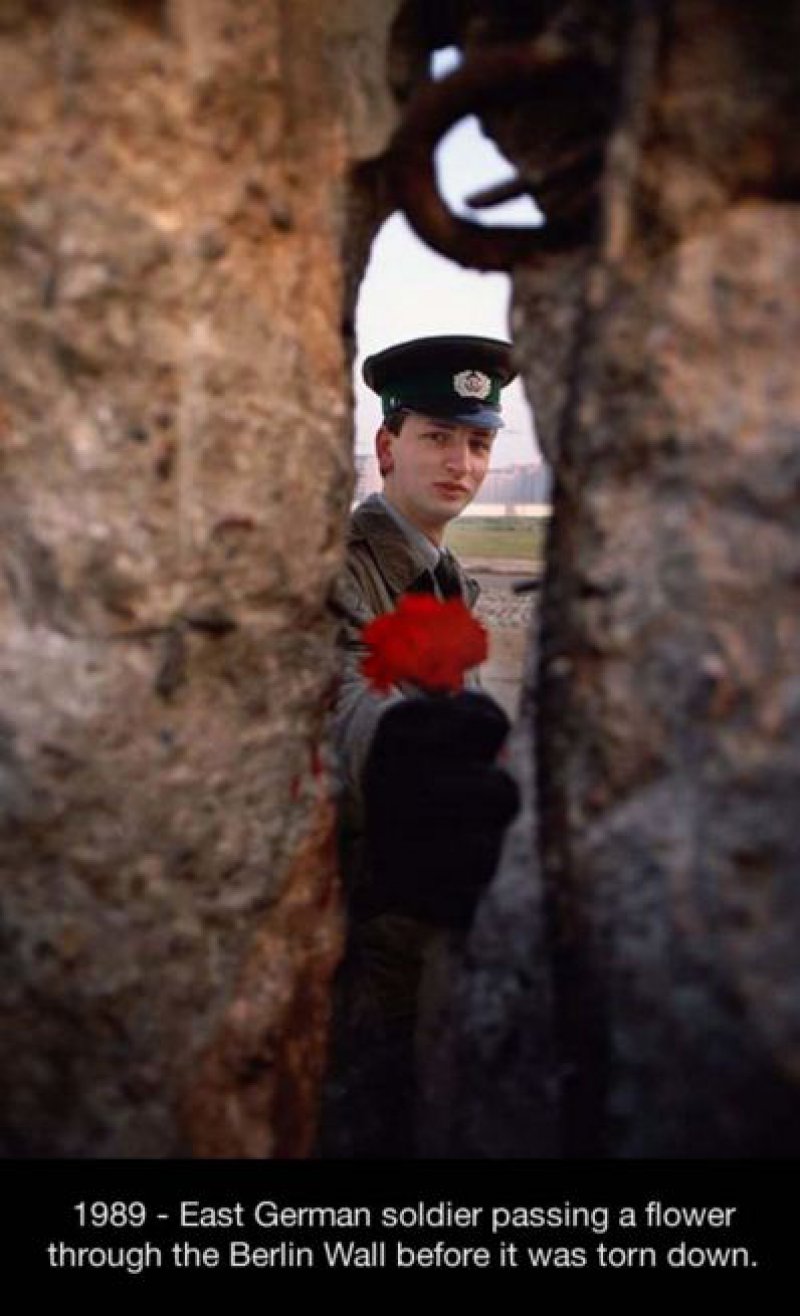 This Powerful Picture of a Soldier Passing a Flower through the Berlin Wall-15 Historical Pictures That Are Really Shocking