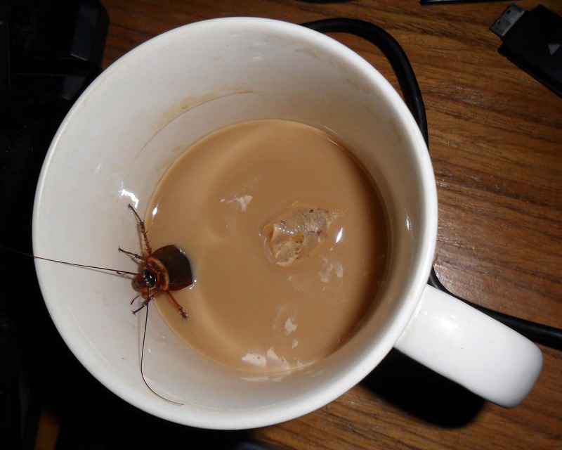 Cockroach Stuck in an Ice Tea Spigot at Western Steer Steakhouse-15 Chain Restaurant Secrets That Will Make You Never Visit One