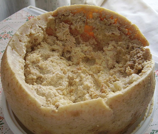 Casu marzu-Strangest Foods Around The World