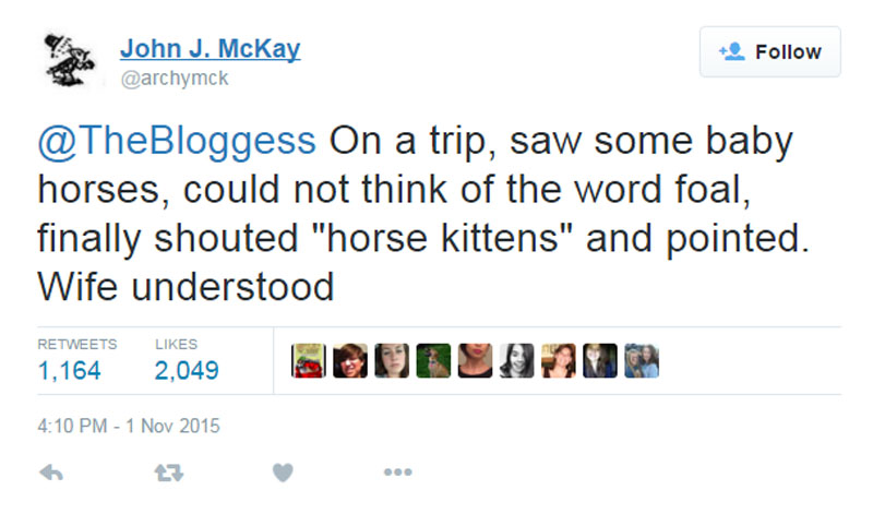 Horse Kittens-15 People Share Their Most Awkward Moments Ever