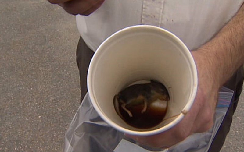 Canadian Man Finds Dead Mouse In McDonald's Coffee Cup-15 Most Disgusting Things People Ever Found In Their Food