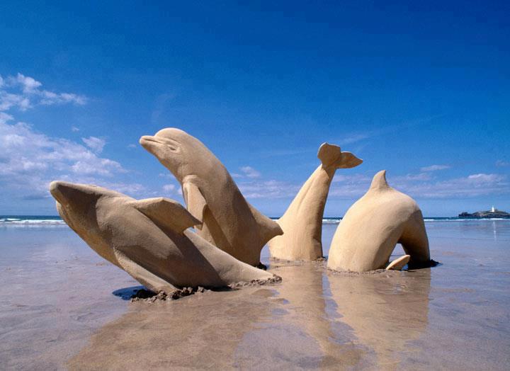 Dolphin Sand Sculpture-15 Most Bizarre Sand Art Sculptures Ever Created