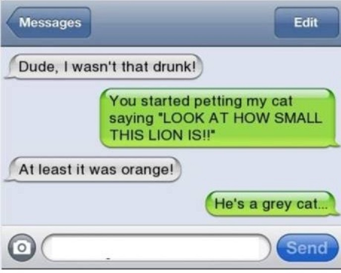 A Cat is Lion When You are Drunk-15 Funniest 'The Morning After Hangover' Texts 