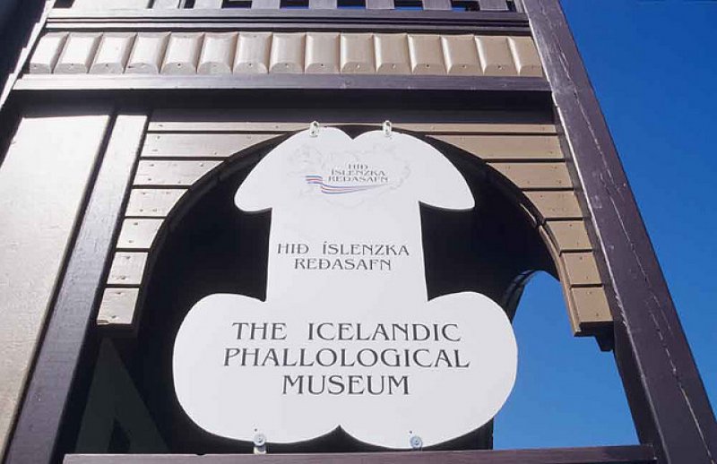 Welcome to The Icelandic Phallological Museum-15 Bizarre Facts About Phallological Museum That Will Leave You Stunned