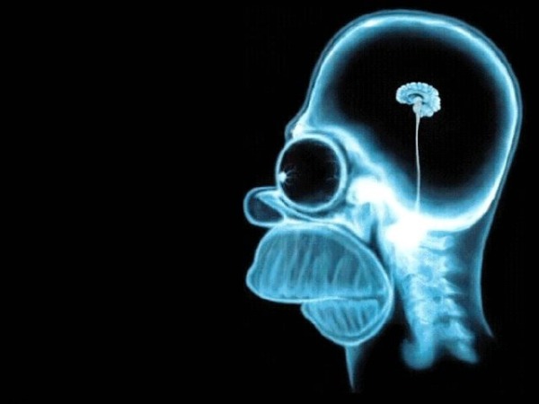 Brain size really doesn't matter-15 WTFacts About Brain You May Not Know