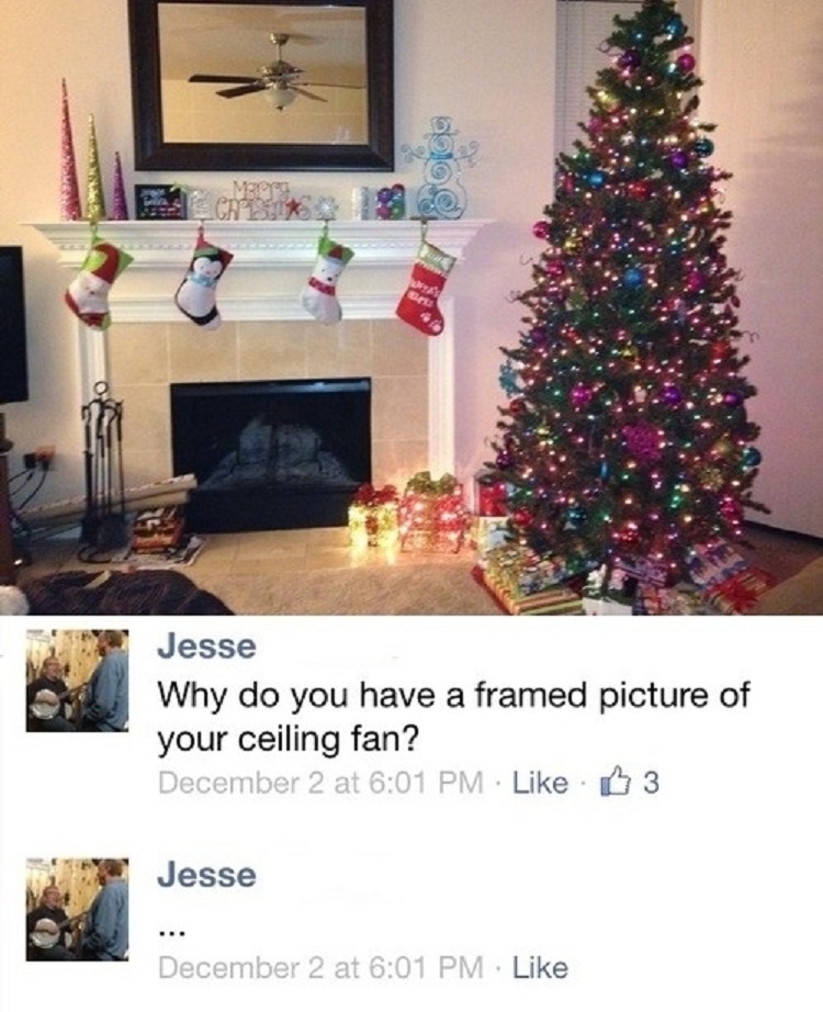 Framed Picture of Ceiling Fan-15 People Who Have No Idea How Things Work