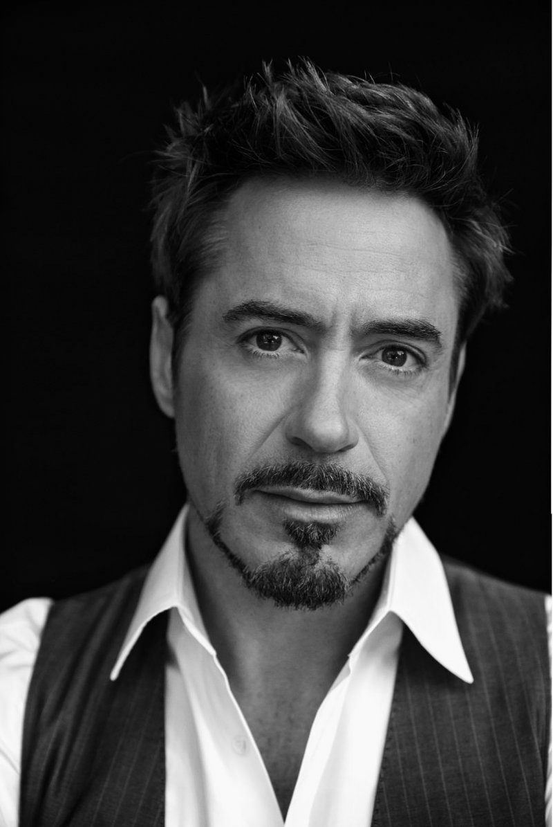 Robert Downey Jr-12 Celebrities With  Shocking Criminal Past