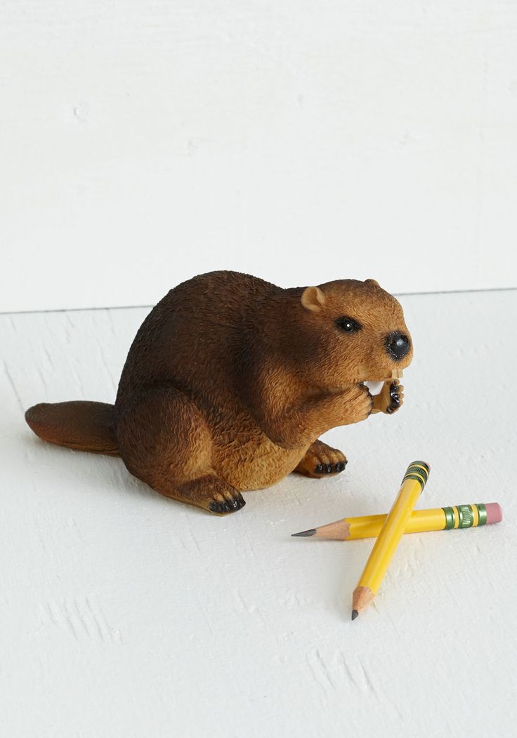 Pencil for Dinner-15 Cute Desk Accessories For Your Office