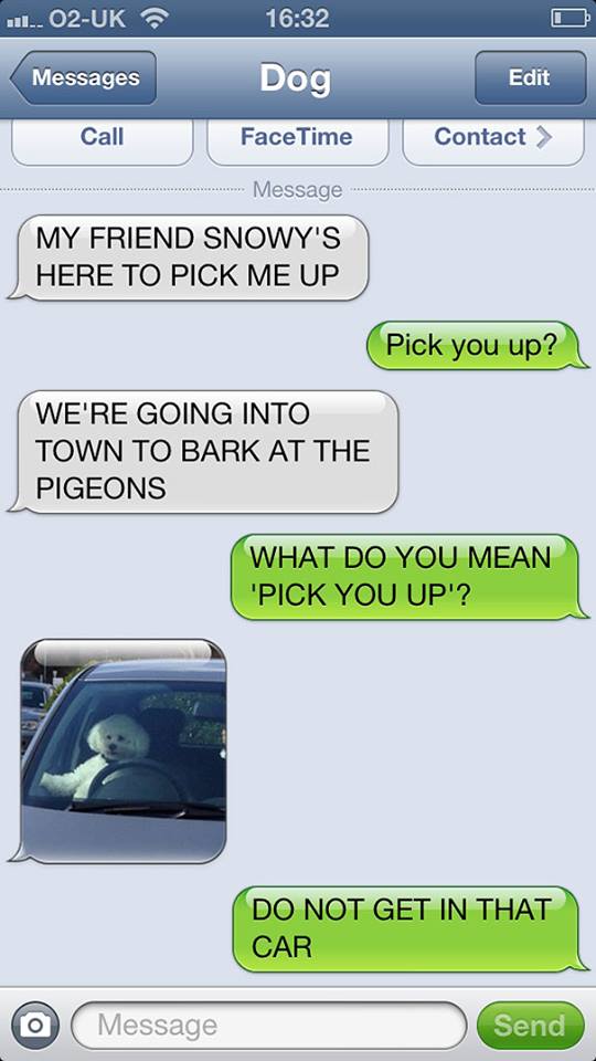  Classy Snowy Came in Her Sexy Car to Pick Her Friend up-15 Hilarious Dog Texts