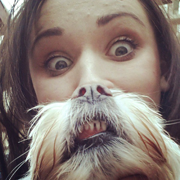 Showing up your inner wookie-15 Epic Dog Beards That Will Make You Want To Have One